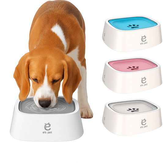 Anti-Spill Water Dog Bowl