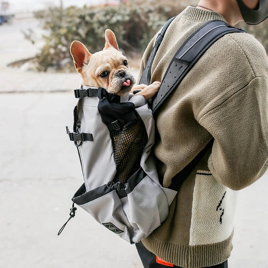 Premium Outdoor Dog Carrier Backpack