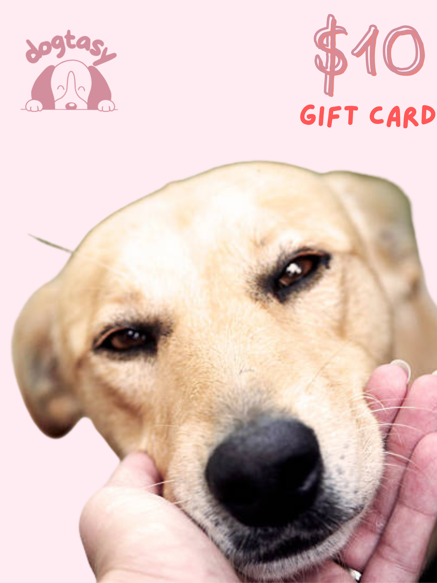 dogtasy gift card