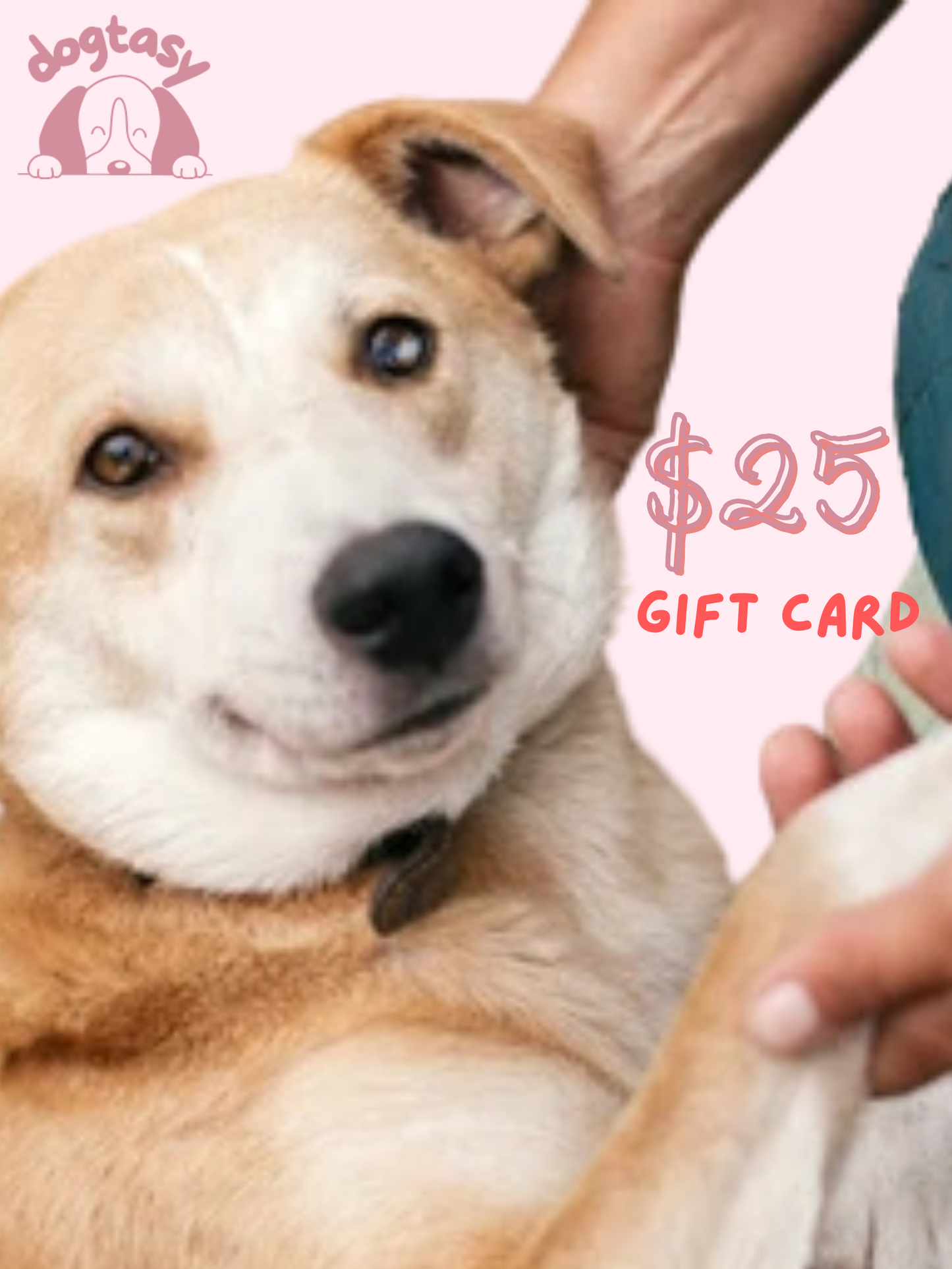 dogtasy gift card