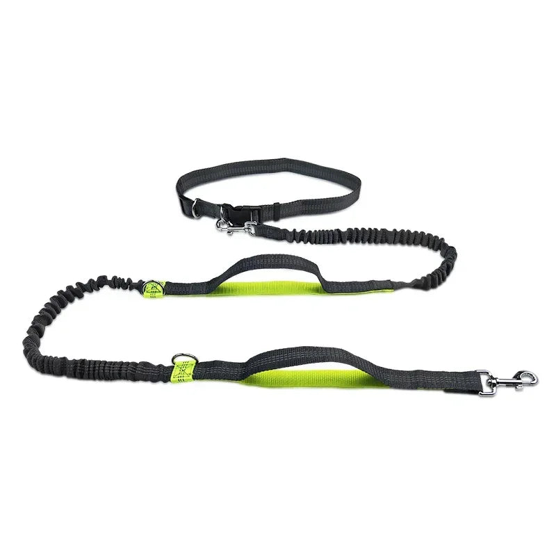 Hands-Free Retractable Dog Leash