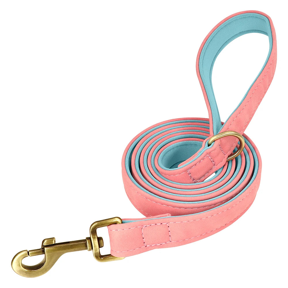 Customized Leather Dog Collar & Leash Set with Nameplate