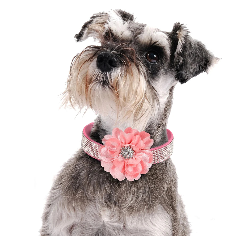 Pink Rhinestone Dog Collar with Flower