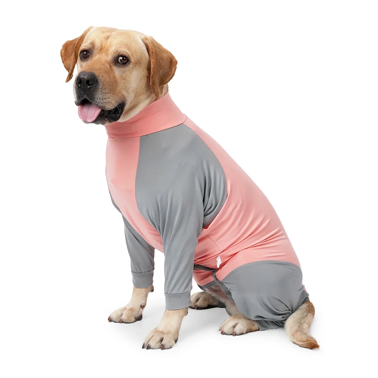 Sunblock Dog Jumpsuit