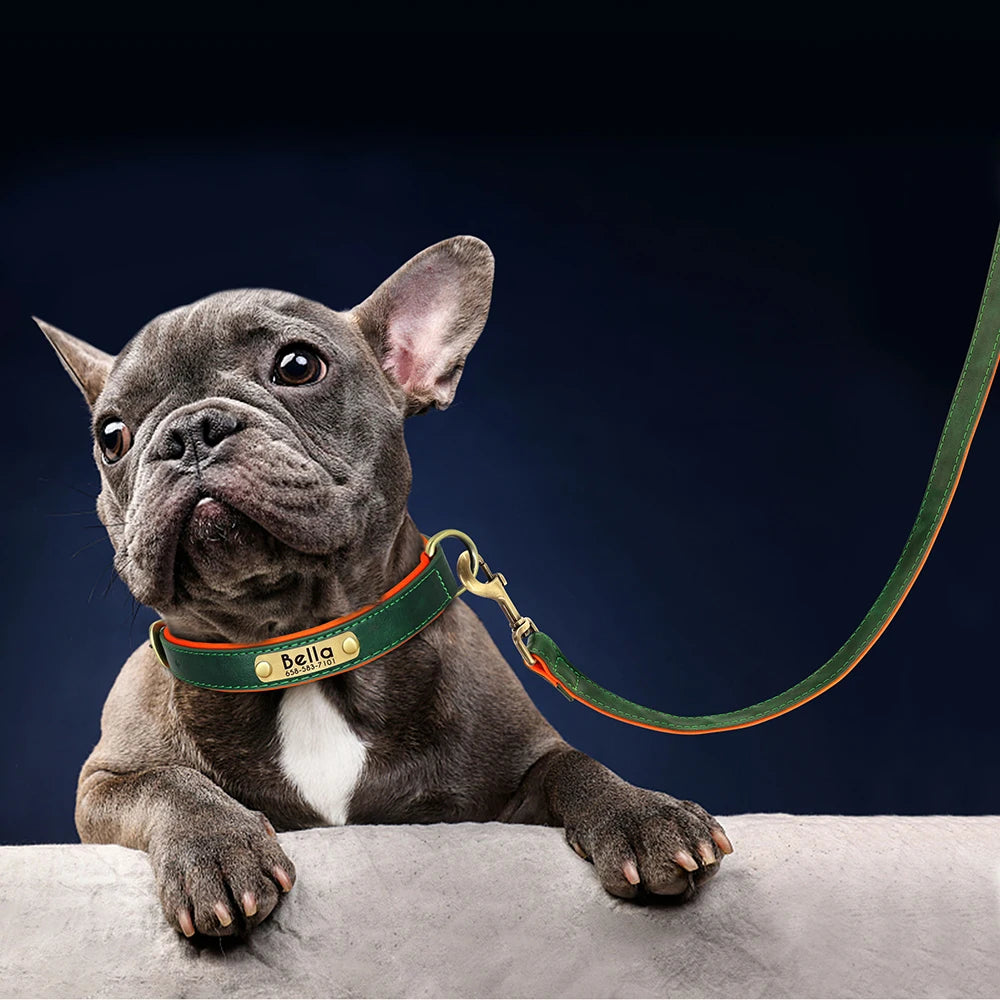 Customized Leather Dog Collar & Leash Set with Nameplate