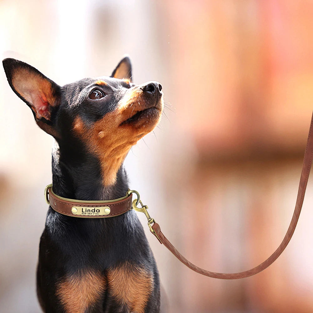 Customized Leather Dog Collar & Leash Set with Nameplate
