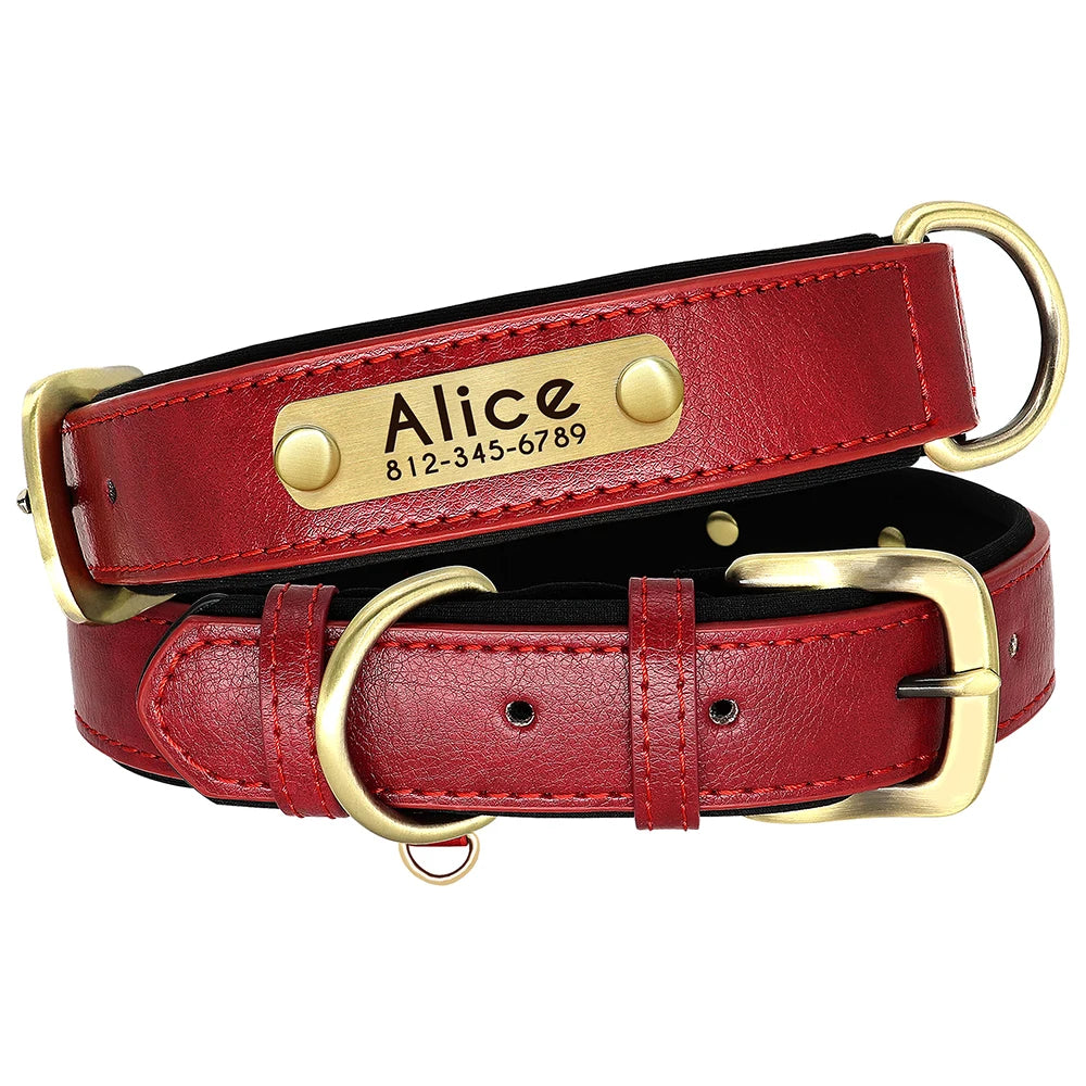Customized Leather Dog Collar & Leash Set with Nameplate