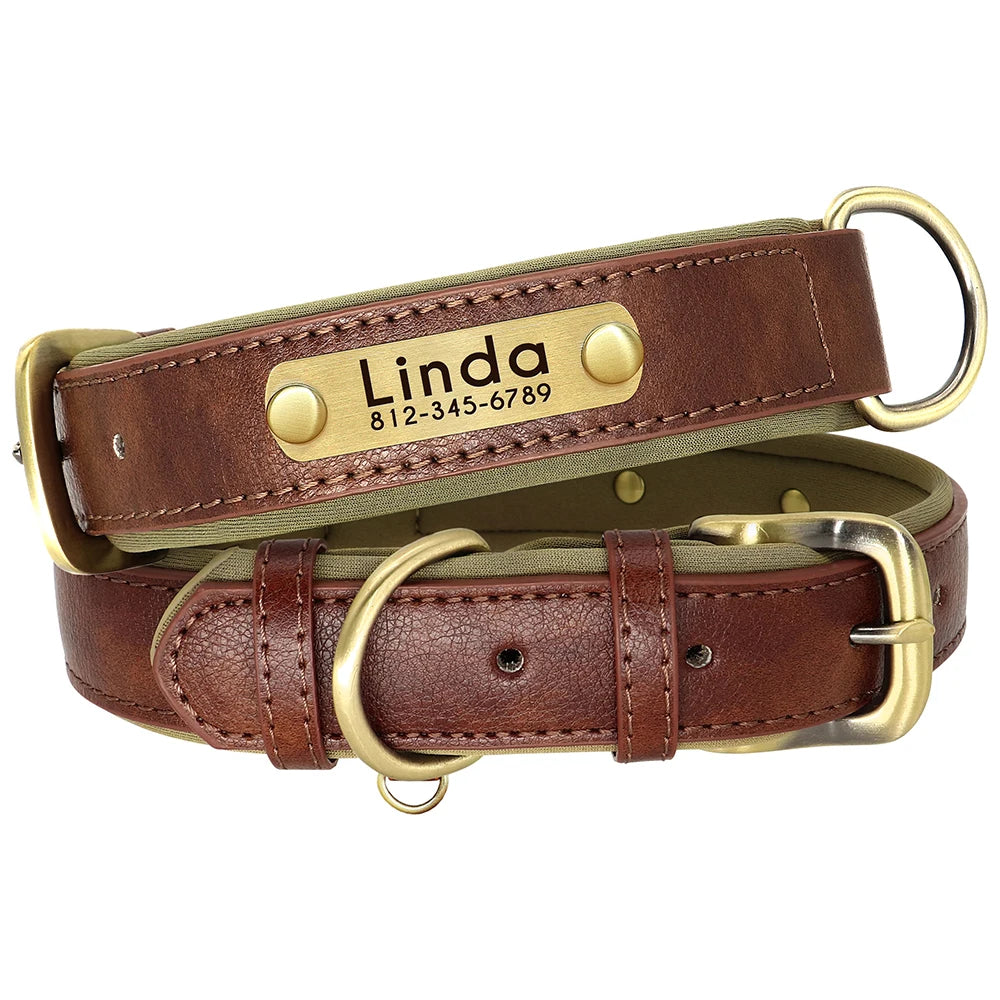 Customized Leather Dog Collar & Leash Set with Nameplate