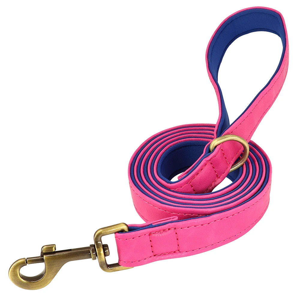 Customized Leather Dog Collar & Leash Set with Nameplate