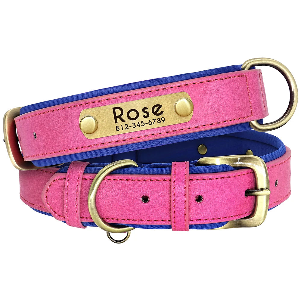 Customized Leather Dog Collar & Leash Set with Nameplate