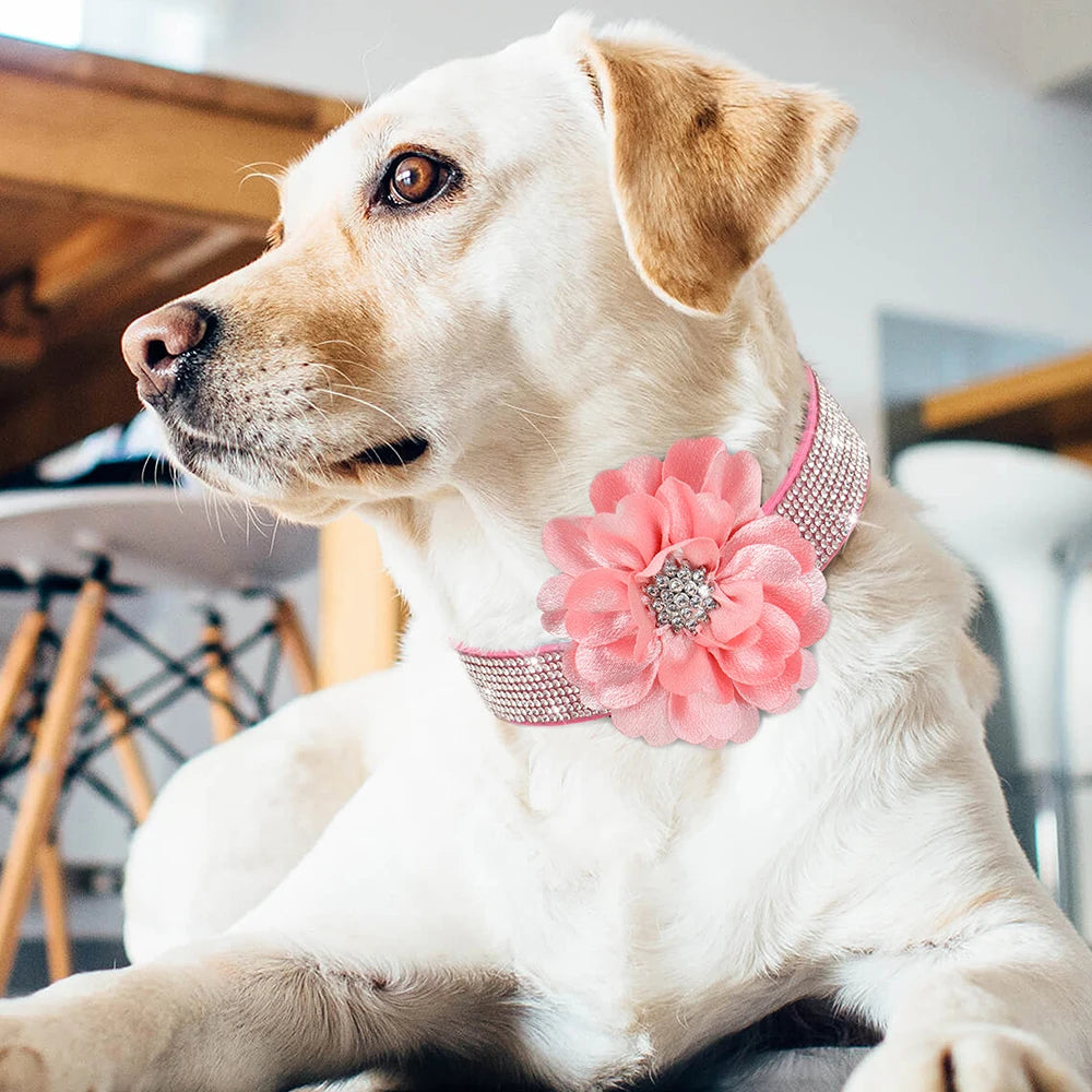 Pink Rhinestone Dog Collar with Flower