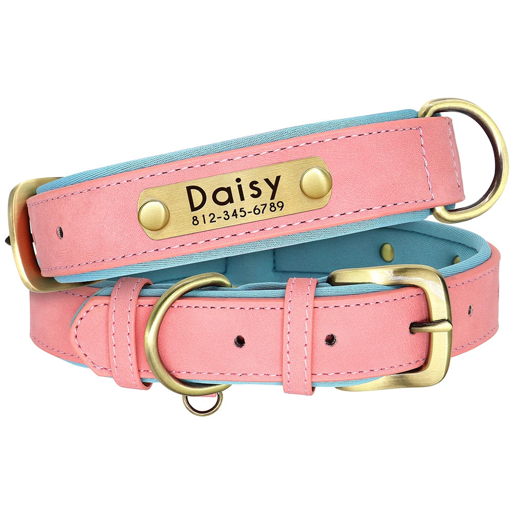 Customized Leather Dog Collar & Leash Set with Nameplate