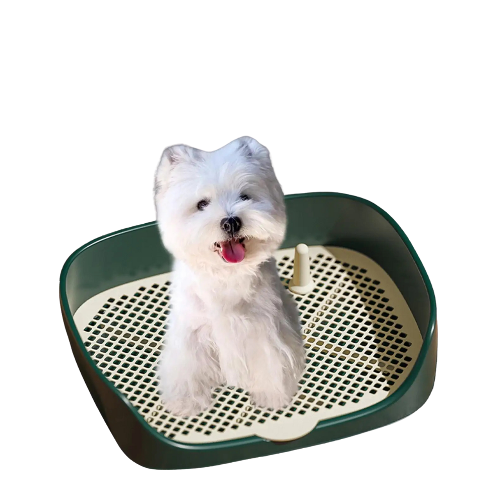 Dog Pee Pad Holder