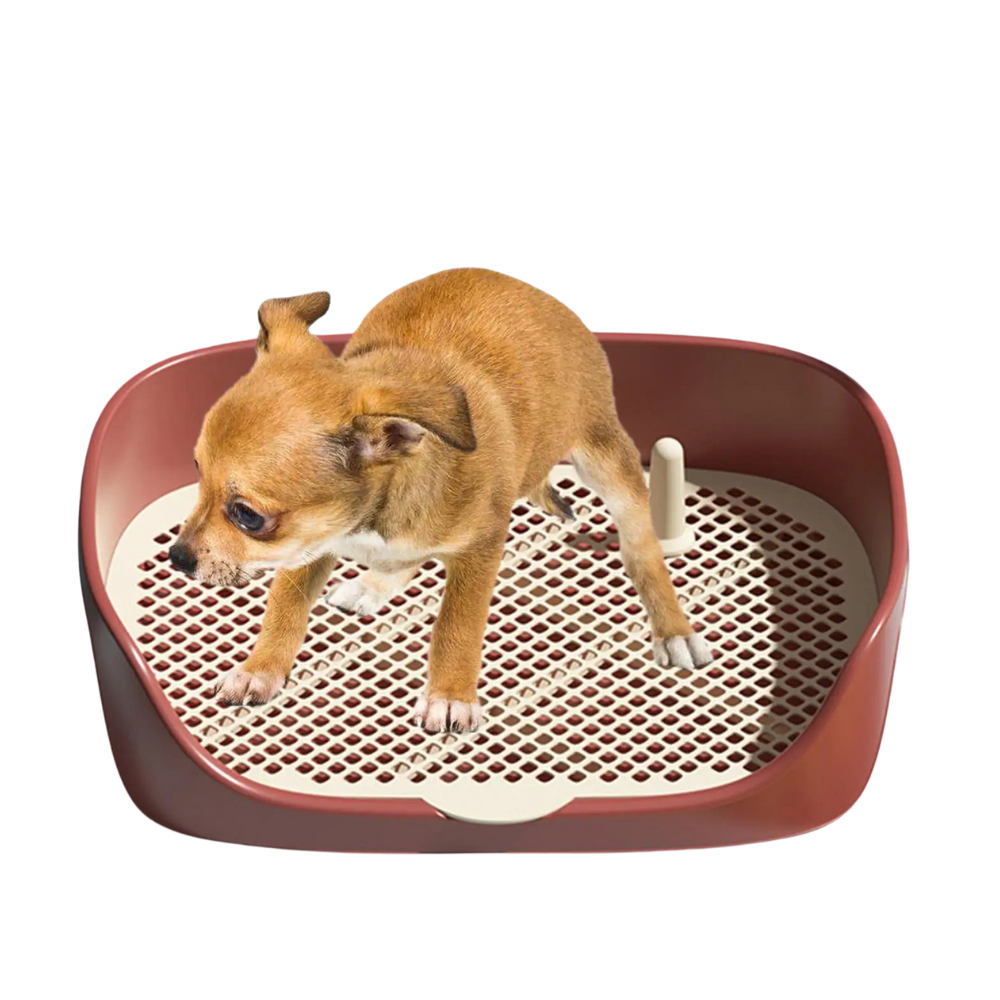 Dog Pee Pad Holder
