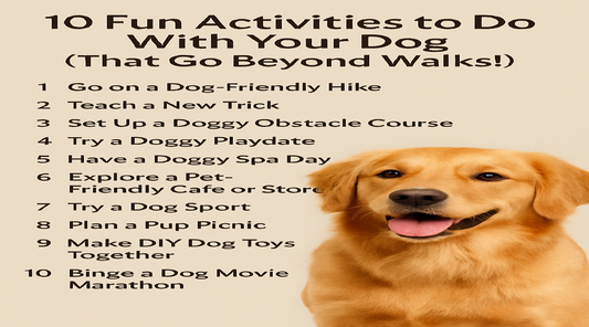 10 Fun Activities to Do With Your Dog (That Go Beyond Walks!)