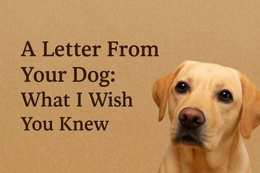 A Letter From Your Dog: What I Wish You Knew
