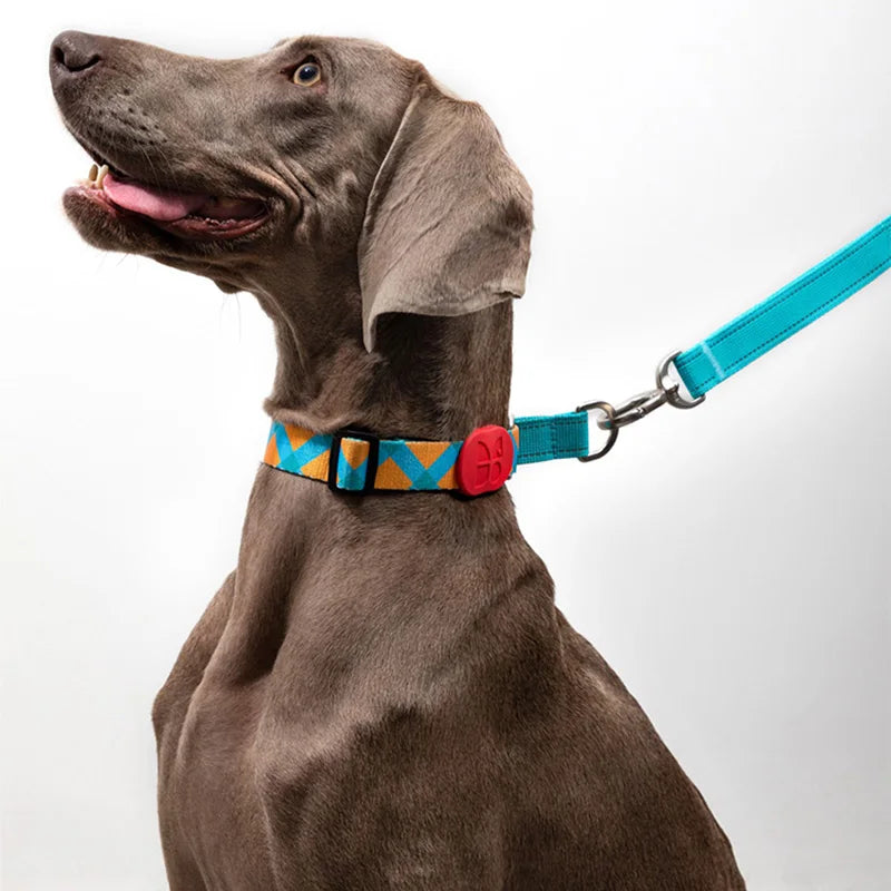Reflective Nylon Martingale Dog Collar