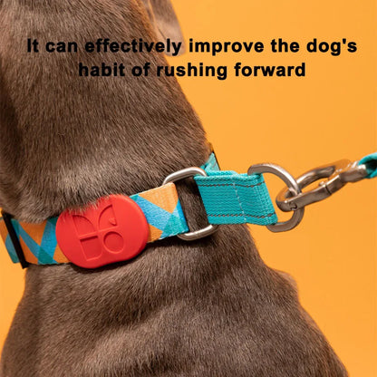 Reflective Nylon Martingale Dog Collar