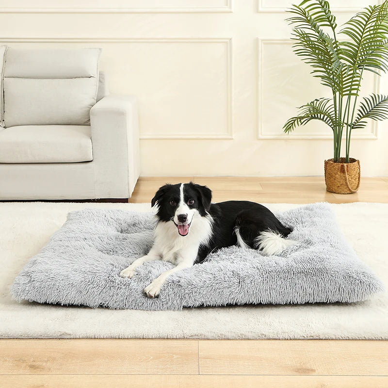 FurryDreams Dog Bed
