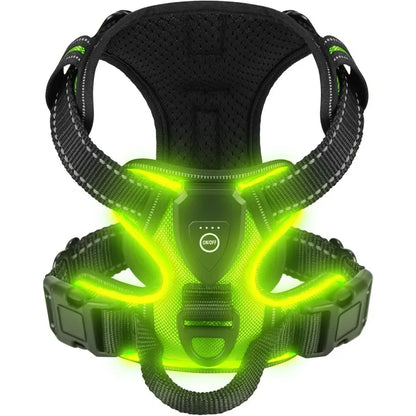 Essential Reflective LED Dog Vest