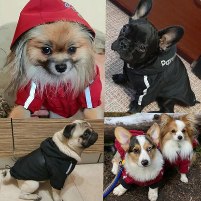 PawGuard Dog Face Waterproof Dog Hoodie