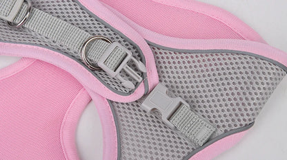 Dogtasy Special Dog Harness & Leash Set