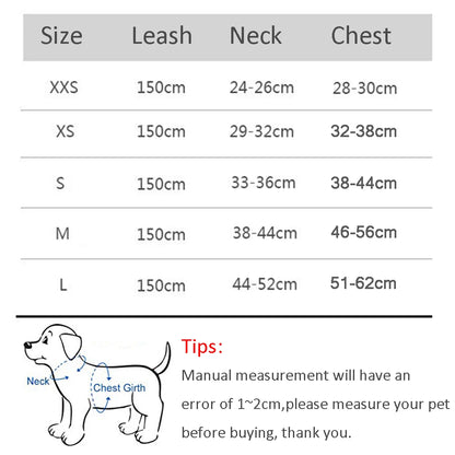 Dogtasy Special Dog Harness & Leash Set