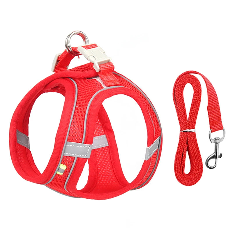 Dogtasy Special Dog Harness & Leash Set