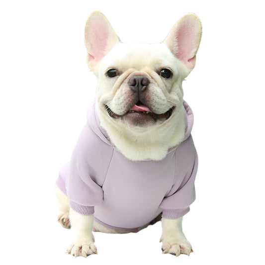 Essential Dog Hoodie