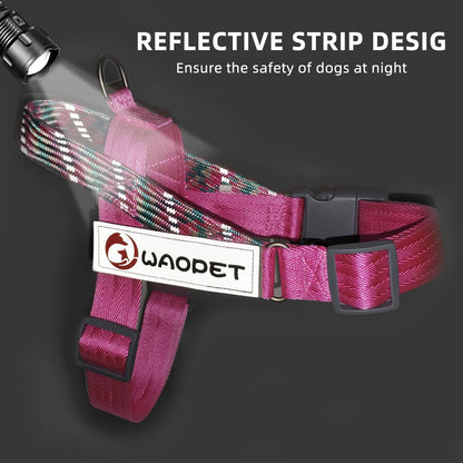Dogtasy Premium Dog Harness