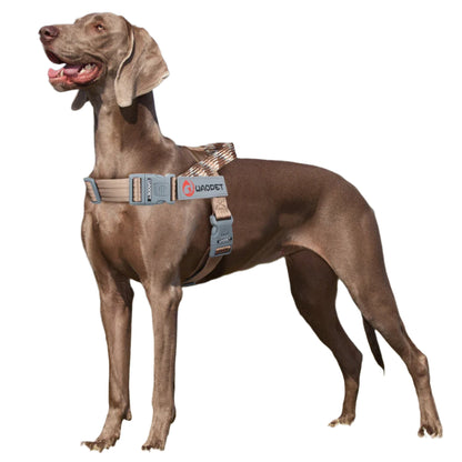 Dogtasy Premium Dog Harness