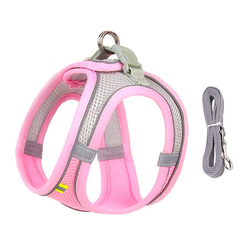 Dogtasy Special Dog Harness & Leash Set