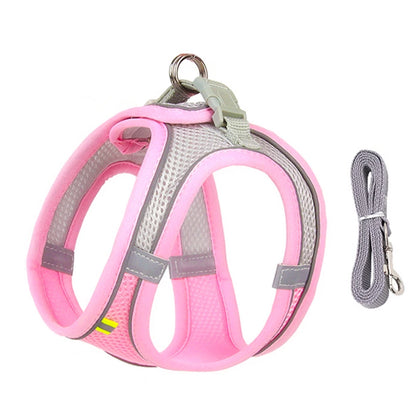 Dogtasy Special Dog Harness & Leash Set