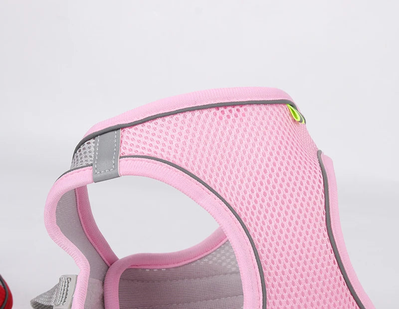 Dogtasy Special Dog Harness & Leash Set