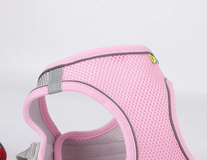 Dogtasy Special Dog Harness & Leash Set