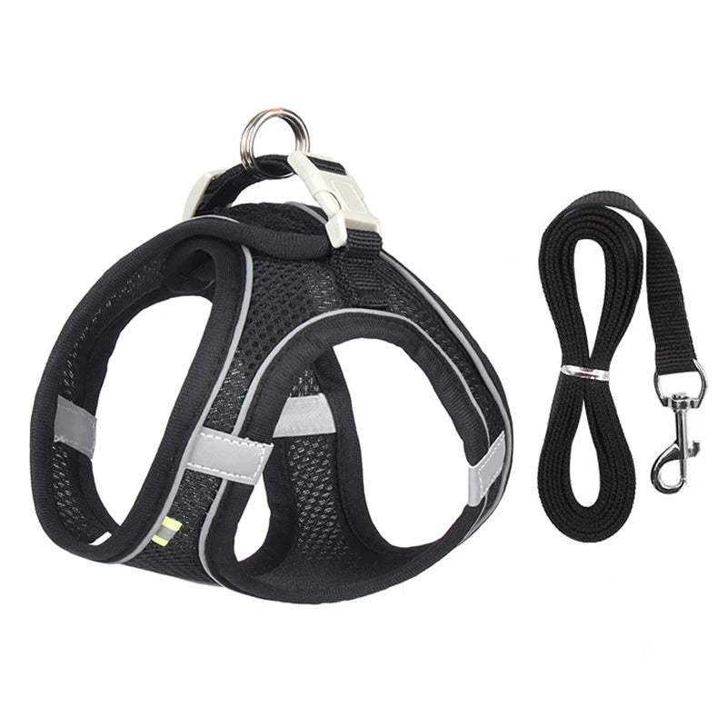 Dogtasy Special Dog Harness & Leash Set