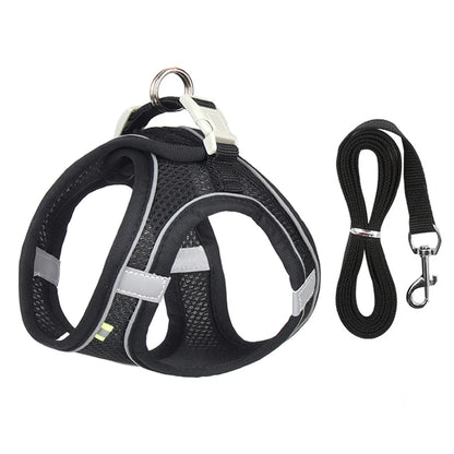 Dogtasy Special Dog Harness & Leash Set