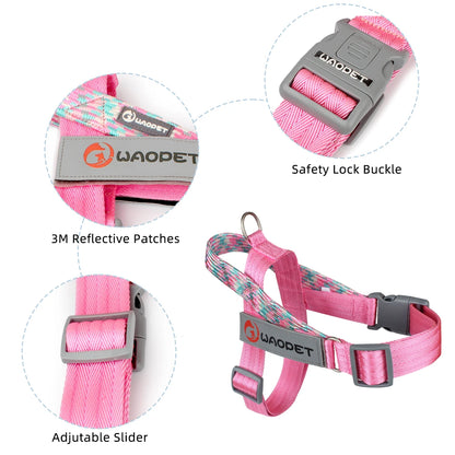 Dogtasy Premium Dog Harness