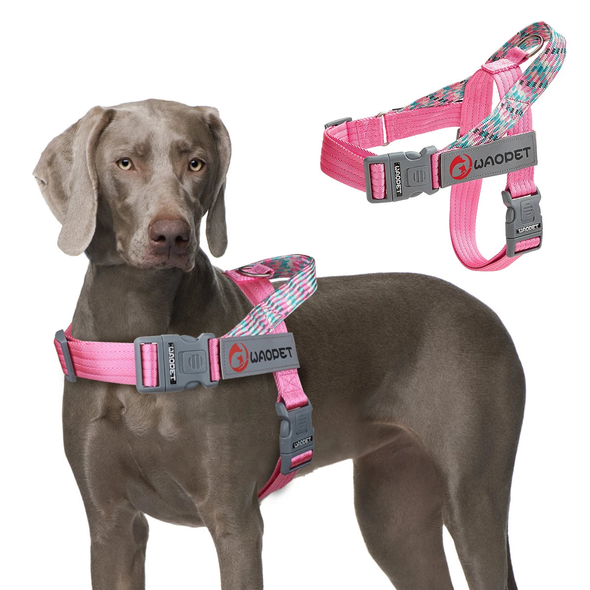 Dogtasy Premium Dog Harness
