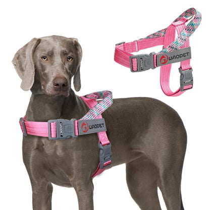 Dogtasy Premium Dog Harness