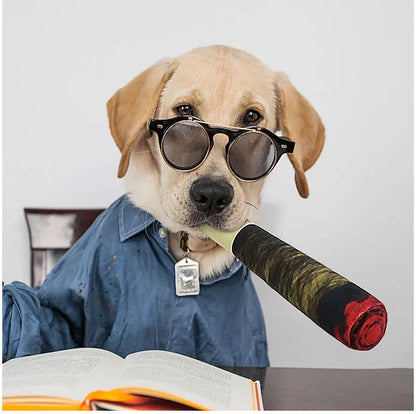Squeaky Cigar Chew Dog Toy