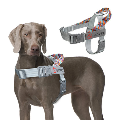 Dogtasy Premium Dog Harness