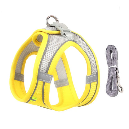 Dogtasy Special Dog Harness & Leash Set