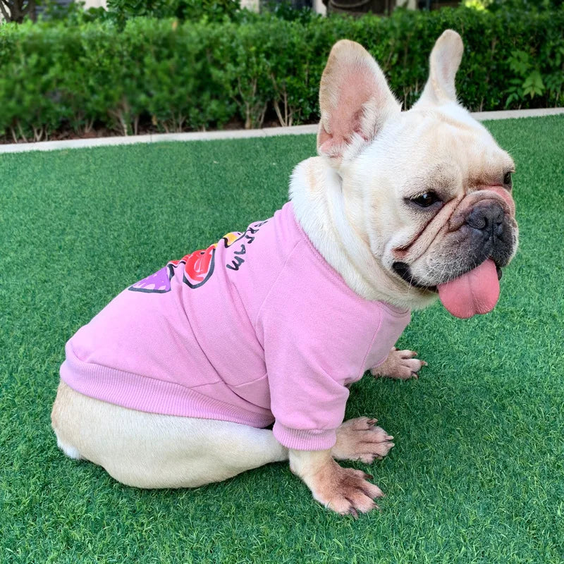 Matching Parent-Dog Clothes