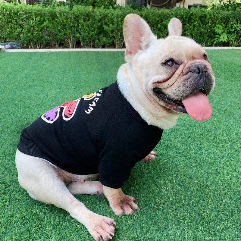 Matching Parent-Dog Clothes