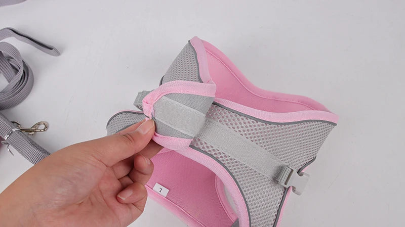 Dogtasy Special Dog Harness & Leash Set