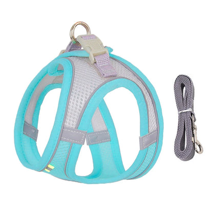 Dogtasy Special Dog Harness & Leash Set