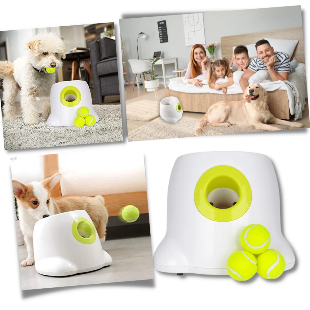 Automatic Dog Ball Launcher