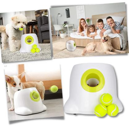 Automatic Dog Ball Launcher
