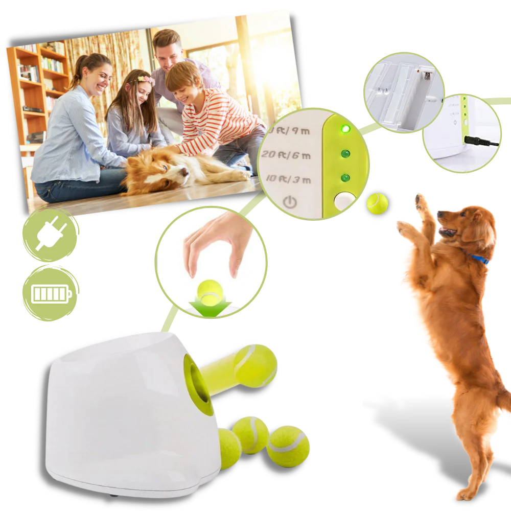 Automatic Dog Ball Launcher